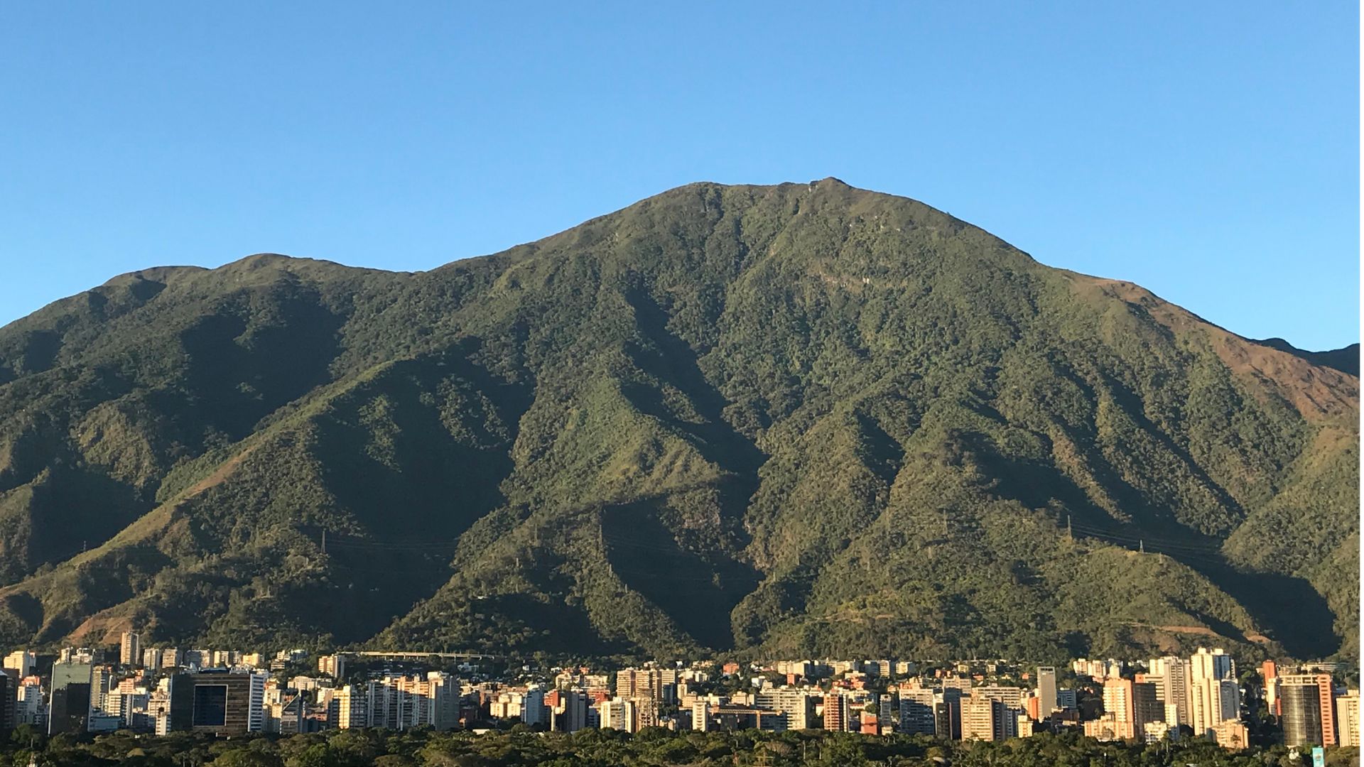 Fondo